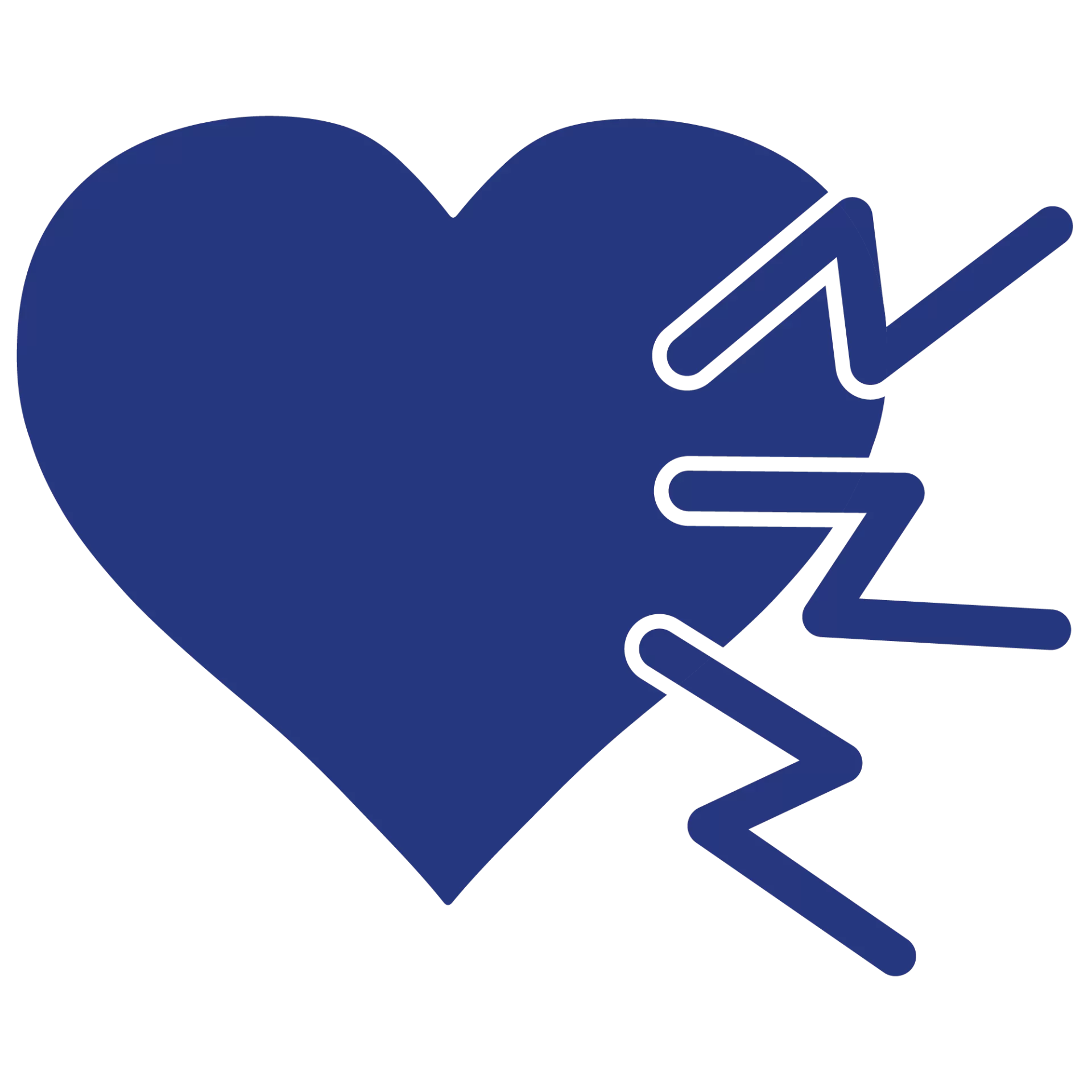 Cardiac Stress Test